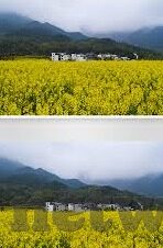糖心vlog网站下载-糖心VLOG，探索视频创作的乐趣与自由